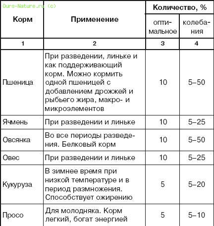 Чем кормить голубей. Рацион домашних голубей. Состав корма для голубей таблица. Составление рациона для голубей. Рацион кормления голубей в зимний период.