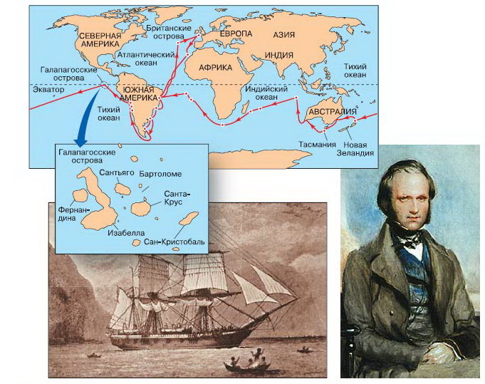 Ч дарвин кругосветное путешествие. Экспедиция Дарвина на корабле Бигль.