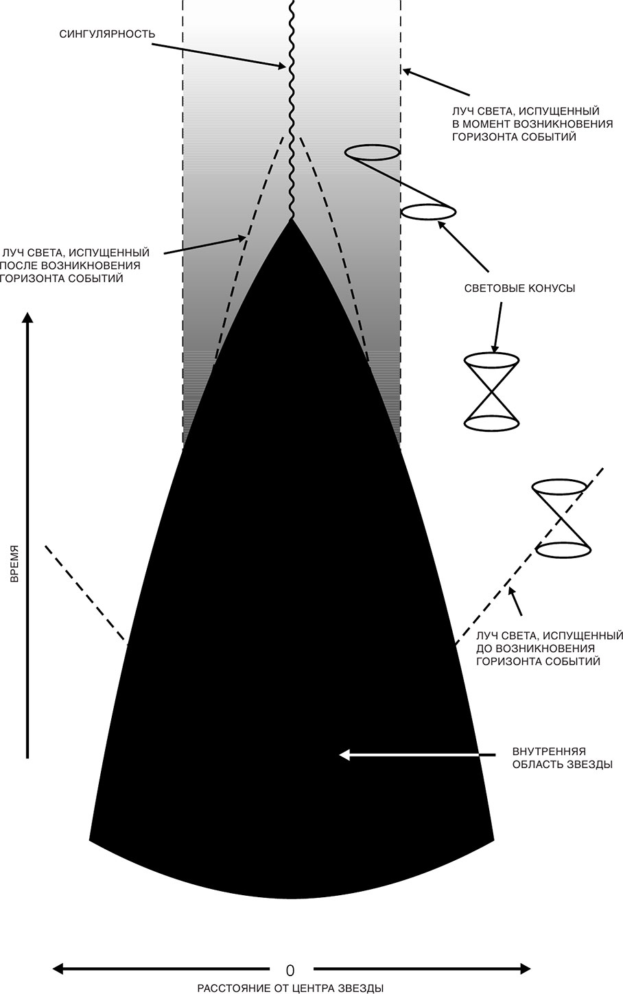 История времени. Черная дыра Горизонт событий сингулярность. Краткая история времени: от большого взрыва до черных дыр. Сингулярность черной дыры схема. Горизонт событий схема.