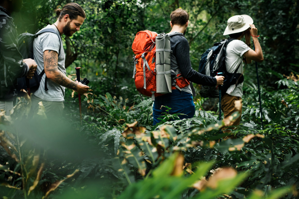 Приключения природа. Trekking in the Forest перевод. Guide nature. Put in preposotions if nessesary. Go treking in the Forest.